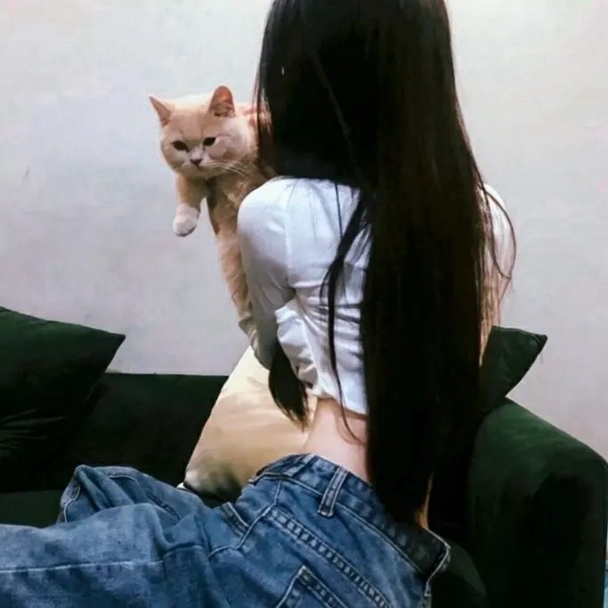温柔酒吧